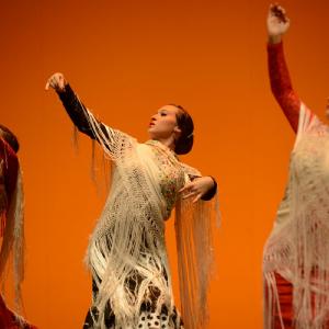 Fotografía de Muestra coreográfica andaluza: Balie flamenco - Conservatorio de Danza
