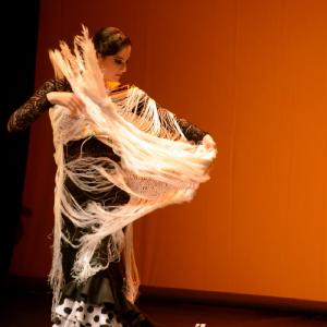 Fotografía de Muestra coreográfica andaluza: Balie flamenco - Conservatorio de Danza