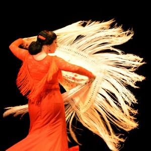 Fotografía de Muestra coreográfica andaluza: Balie flamenco - Conservatorio de Danza