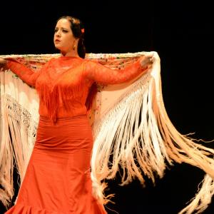 Fotografía de Muestra coreográfica andaluza: Balie flamenco - Conservatorio de Danza
