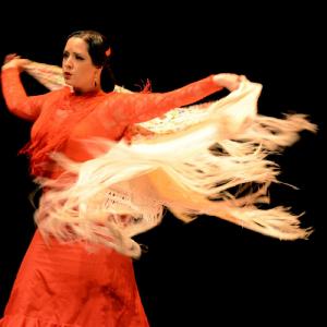 Fotografía de Muestra coreográfica andaluza: Balie flamenco - Conservatorio de Danza