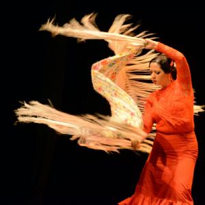 Fotografía de Muestra coreográfica andaluza: Balie flamenco - Conservatorio de Danza
