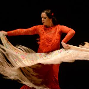Fotografía de Muestra coreográfica andaluza: Balie flamenco - Conservatorio de Danza