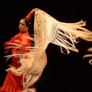 Fotografía de Muestra coreográfica andaluza: Balie flamenco - Conservatorio de Danza