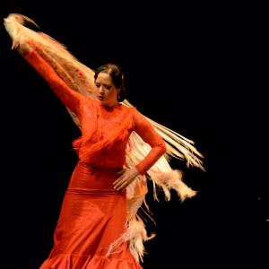 Fotografía de Muestra coreográfica andaluza: Balie flamenco - Conservatorio de Danza