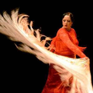 Fotografía de Muestra coreográfica andaluza: Balie flamenco - Conservatorio de Danza