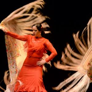 Fotografía de Muestra coreográfica andaluza: Balie flamenco - Conservatorio de Danza