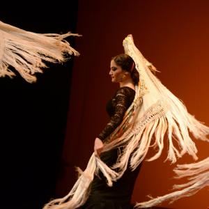 Fotografía de Muestra coreográfica andaluza: Balie flamenco - Conservatorio de Danza