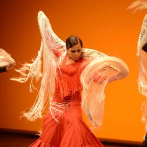 Fotografía de Muestra coreográfica andaluza: Balie flamenco - Conservatorio de Danza