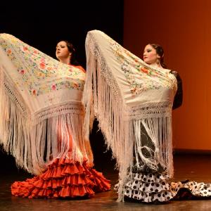 Fotografía de Muestra coreográfica andaluza: Balie flamenco - Conservatorio de Danza