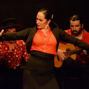 Fotografía de El flamenco es ansí - El Pelito