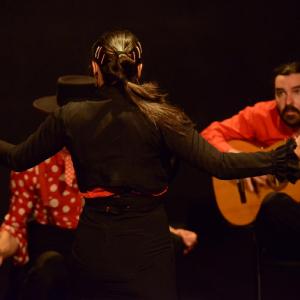Fotografía de El flamenco es ansí - El Pelito