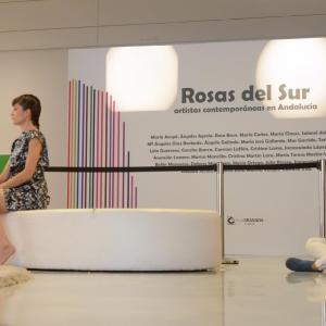 Fotografía de Asalto a los museos 2014:  - Conservatorio de Danza