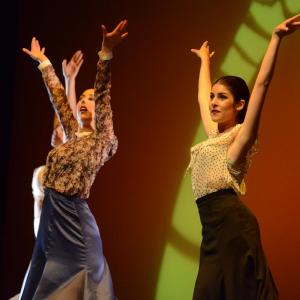 Fotografía de Conservatorio de danza: Talleres de Danza Española - Conservatorio de Danza