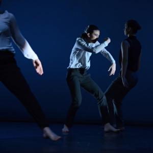 Fotografía de Conservatorio de danza: Talleres de Danza Contemporánea - Conservatorio de Danza