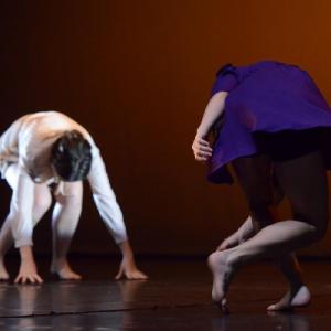 Fotografía de Conservatorio de danza: Talleres de Danza Contemporánea - Conservatorio de Danza