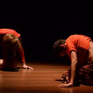 Fotografía de Multidanza y Grupo de Danza de la UGR: Interlunio - 4x4 Multidanza