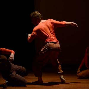 Fotografía de Multidanza y Grupo de Danza de la UGR: Interlunio - 4x4 Multidanza