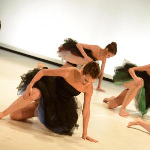 Fotografía de Fex 2014: Estreno de Ángeles felices - Conservatorio de Danza