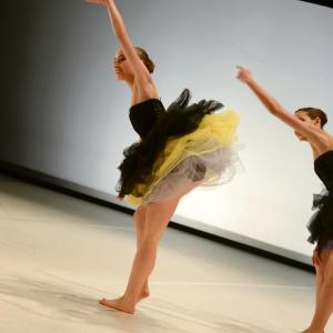 Fotografía de Fex 2014: Estreno de Ángeles felices - Conservatorio de Danza