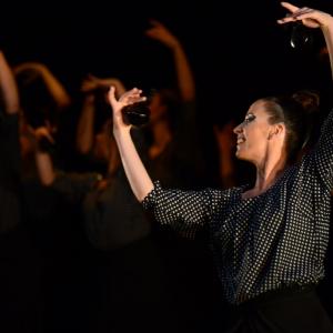 Fotografía de Fex 2014: Estreno de La muerte del deseo - Conservatorio de Danza
