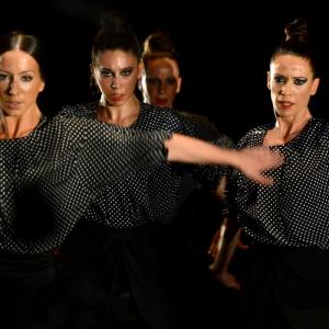 Fotografía de Fex 2014: Estreno de La muerte del deseo - Conservatorio de Danza