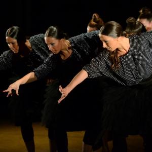 Fotografía de Fex 2014: Estreno de La muerte del deseo - Conservatorio de Danza