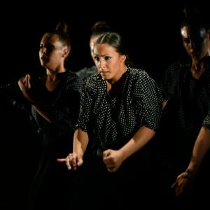 Fotografía de Fex 2014: Estreno de La muerte del deseo - Conservatorio de Danza
