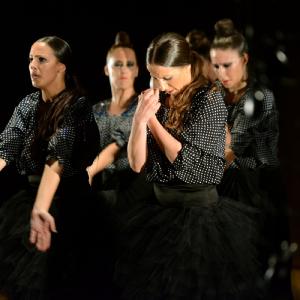 Fotografía de Fex 2014: Estreno de La muerte del deseo - Conservatorio de Danza