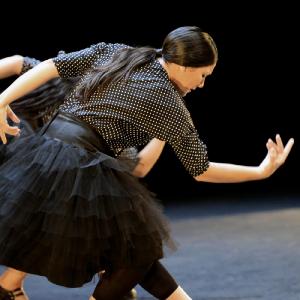 Fotografía de Fex 2014: La muerte del deseo - Conservatorio de Danza