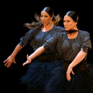 Fotografía de Fex 2014: La muerte del deseo - Conservatorio de Danza