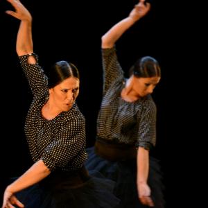 Fotografía de Fex 2014: La muerte del deseo - Conservatorio de Danza