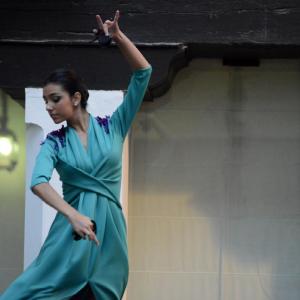 Fotografía de Flamenco y Lorca en el Museo Casa de los Tiros - Musearte