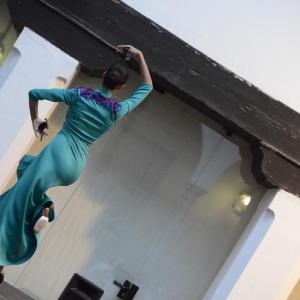 Fotografía de Flamenco y Lorca en el Museo Casa de los Tiros - Musearte