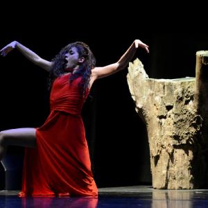 Fotografía de 12 Canción ingenua - Granada Tanz Teatro
