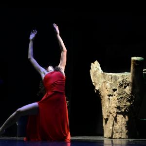 Fotografía de 12 Canción ingenua - Granada Tanz Teatro