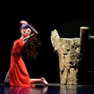 Fotografía de 12 Canción ingenua - Granada Tanz Teatro