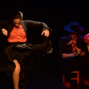 Fotografía de El flamenco es ansí - El Pelito