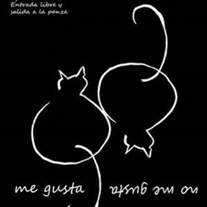 Fotografía de Gato gordo - Gato Gordo