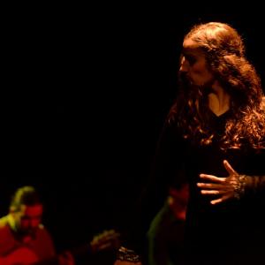 Fotografía de Flamenco y Pinto - 