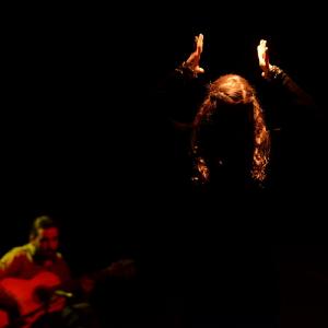 Fotografía de Flamenco y Pinto - 