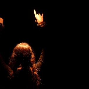 Fotografía de Flamenco y Pinto - 
