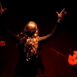 Fotografía de Flamenco y Pinto - 