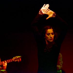 Fotografía de Flamenco y Pinto - 