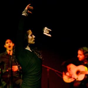 Fotografía de Flamenco y Pinto - 