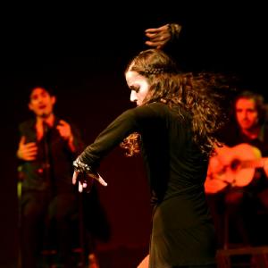 Fotografía de Flamenco y Pinto - 