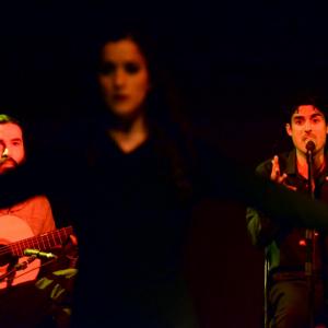 Fotografía de Flamenco y Pinto - 