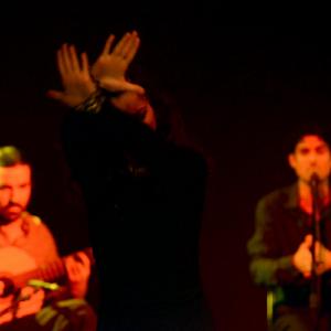 Fotografía de Flamenco y Pinto - 
