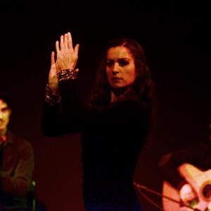 Fotografía de Flamenco y Pinto - 