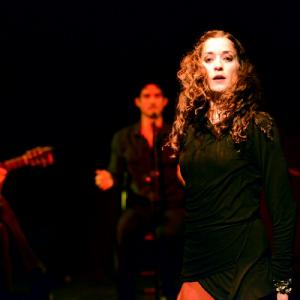 Fotografía de Flamenco y Pinto - 